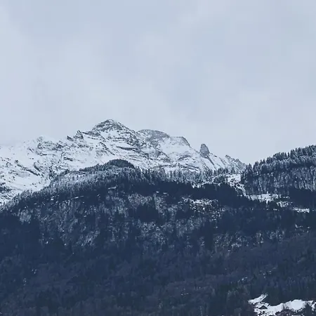 Mountain 4u By Interhome ميرنغن