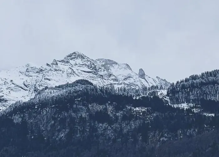 Mountain 4u By Interhome Meiringen